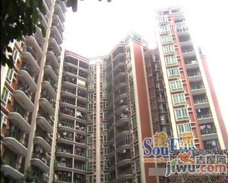 珠光花园实景图图片