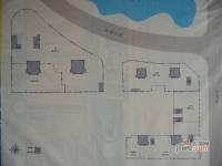 金成港湾规划图图片