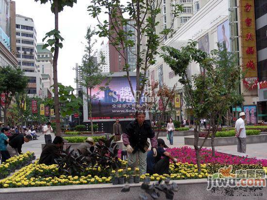 兰澳花苑实景图图片