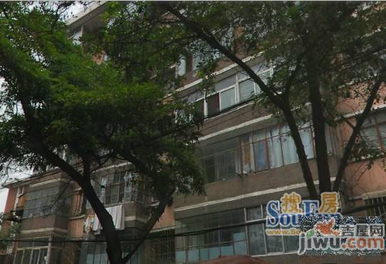 三角花园实景图图片