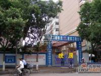 伊真东城丽珠