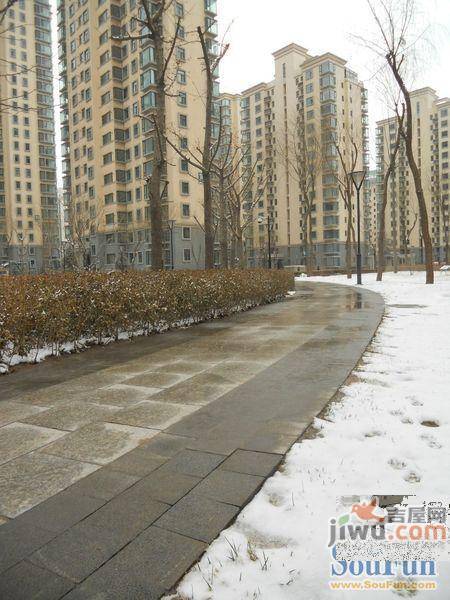 南河嘉园实景图图片