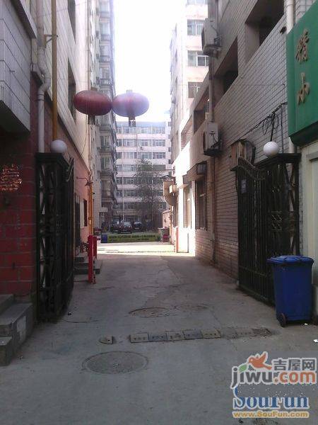 东方小区(读者大道)实景图图片