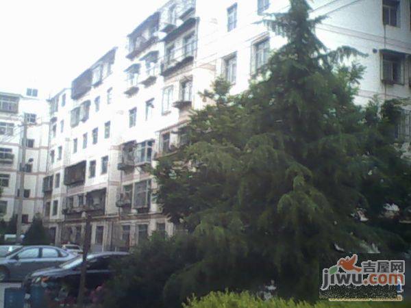 东方小区(读者大道)实景图图片