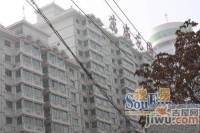 万盛花园效果图