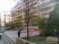 新九洲花园实景图图片