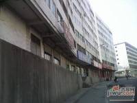 新九洲花园实景图图片