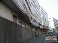 新九洲花园实景图图片