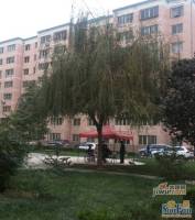 润安小区实景图6