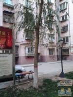 润安小区实景图6