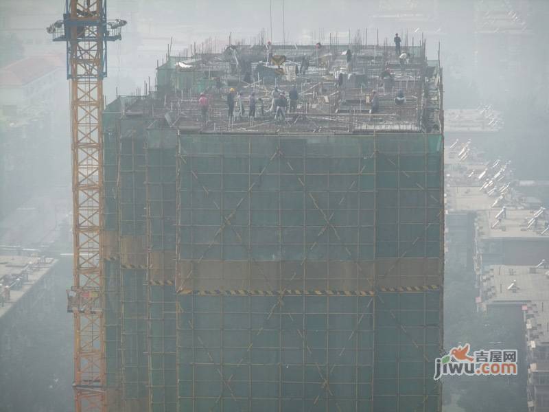 林荫大院实景图图片