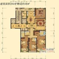 天一国际普通住宅202㎡户型图