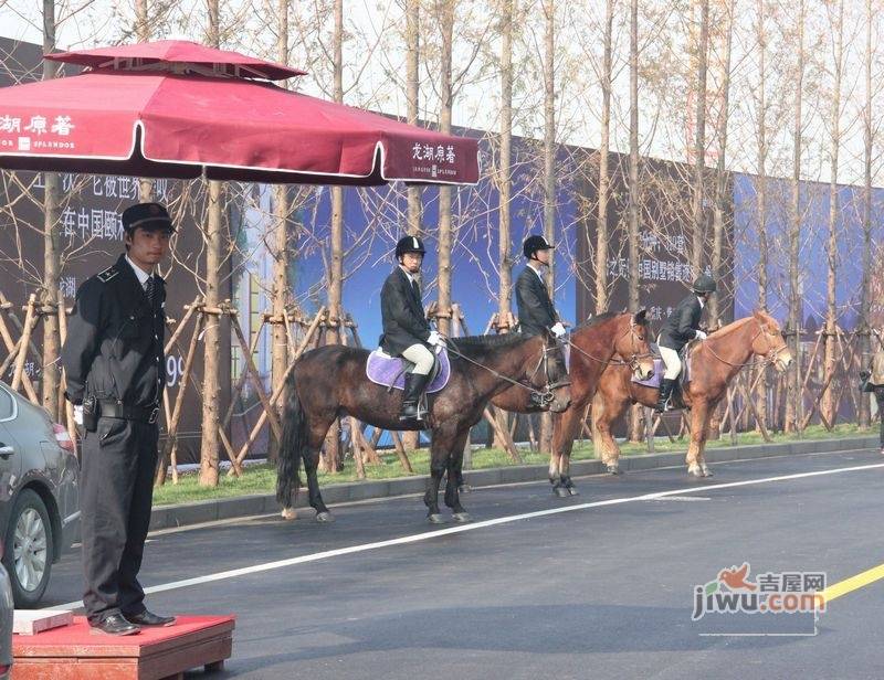 龙湖原著实景图图片