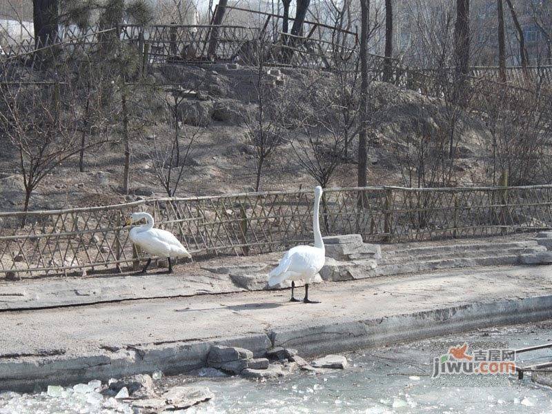 天怡家园配套图图片