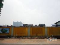 加州小镇实景图图片