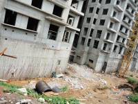 加州小镇实景图图片