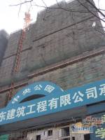 中央公园实景图1