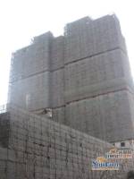 中央公园实景图1
