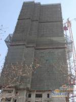 中央公园实景图1