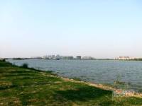 中茵龙湖国际·御墅湾实景图图片