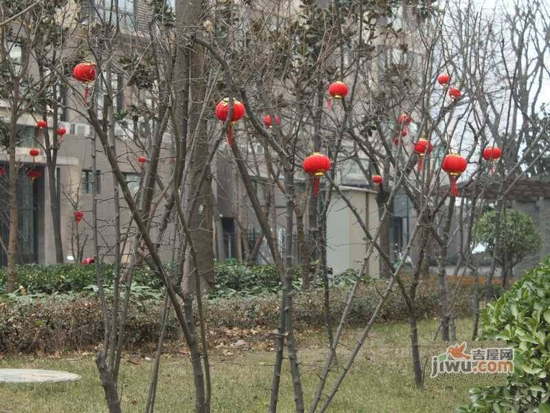 绿城浪琴湾实景图图片