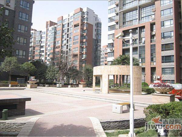 雅荷春天实景图图片