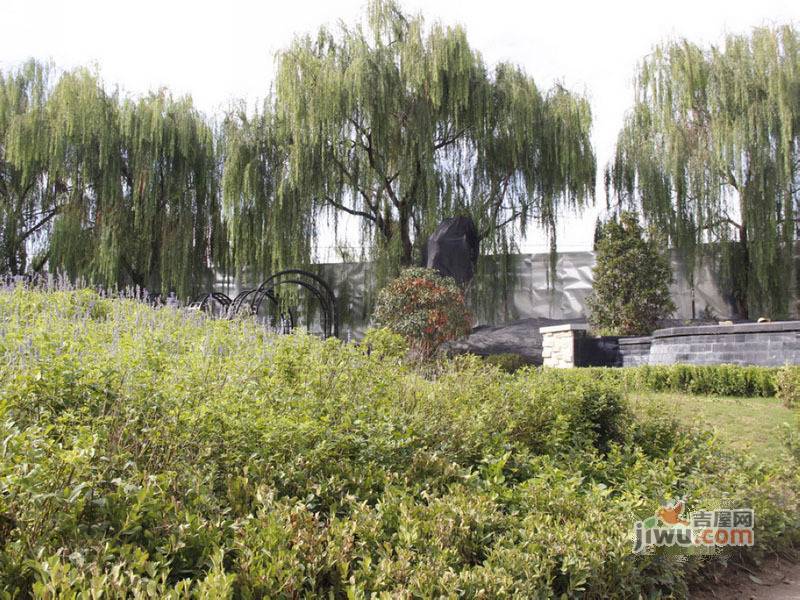 阳光城·蔷薇溪谷/墅间的洋房实景图图片