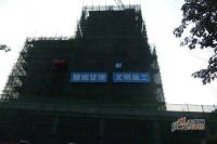 世欧王庄财富双子塔实景图图片