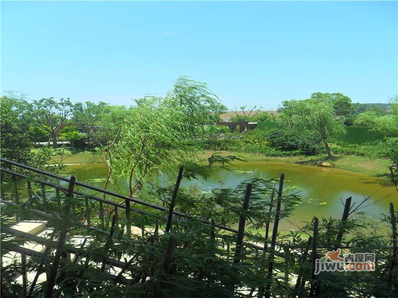太湖香树湾花园实景图图片