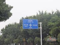 大城小院实景图34