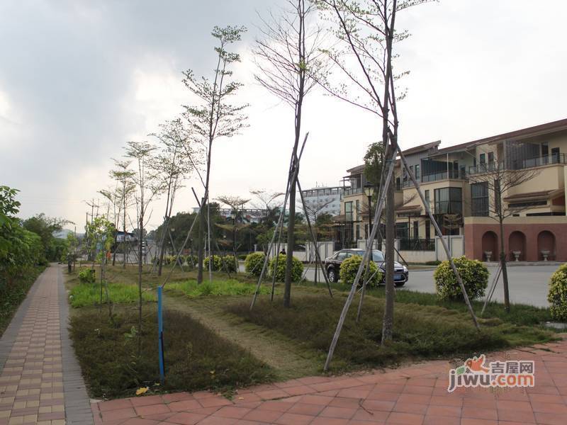 盘龙湾实景图图片