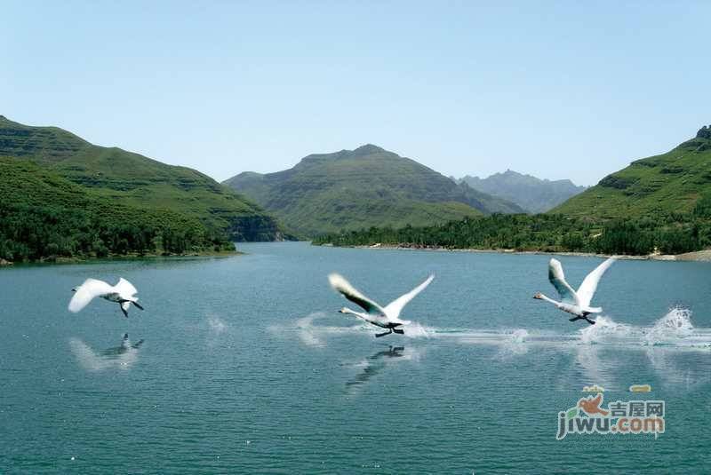 华银天鹅湖实景图图片