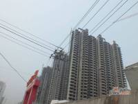 秀兰尚城实景图图片