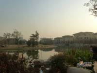长夏门湖园实景图图片
