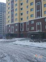 塞纳左岸实景图8