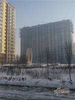 塞纳左岸实景图8