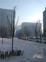 塞纳左岸实景图8