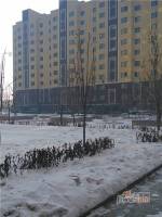 塞纳左岸实景图8