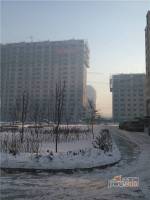 塞纳左岸实景图8