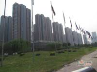 安居东城实景图97