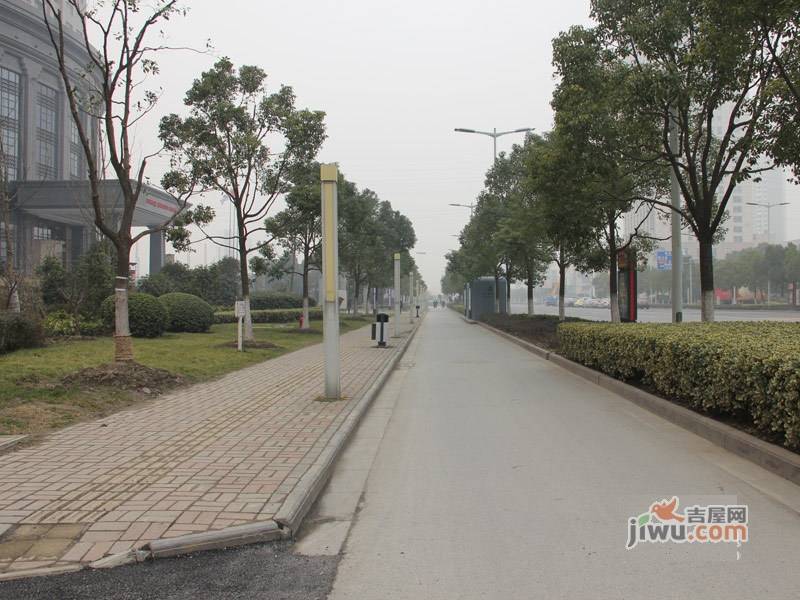 隆祺丽景国际实景图图片