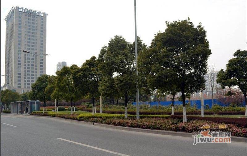 隆祺丽景国际实景图图片